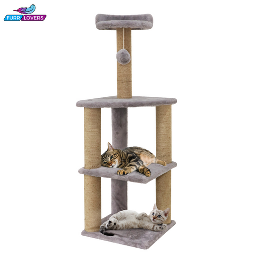 Soft Fur Activity Cat Tree for Kittens & Cats