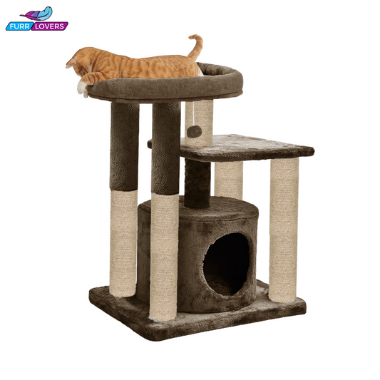 Kitten Cat Tree - Hanging Ball