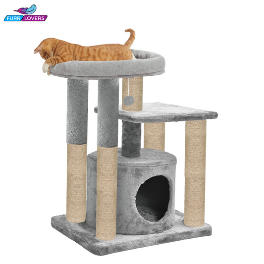 Kitten Cat Tree - Hanging Ball