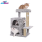 Condo Activity Cat Kitten Tree