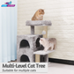 Condo Activity Cat Kitten Tree